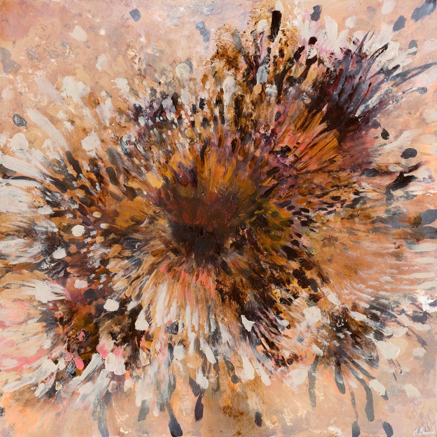 DRIFT ABLOOM *NEW*